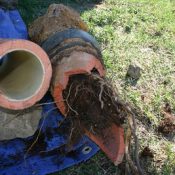 Drain Damage Los Angeles